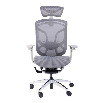 GTCHAIR Dvary X - Ergonomic Mesh Chair