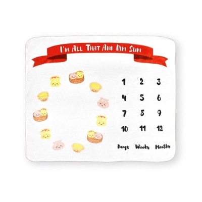 The Wee Bean Fleece Milestone Blanket for Baby Photography