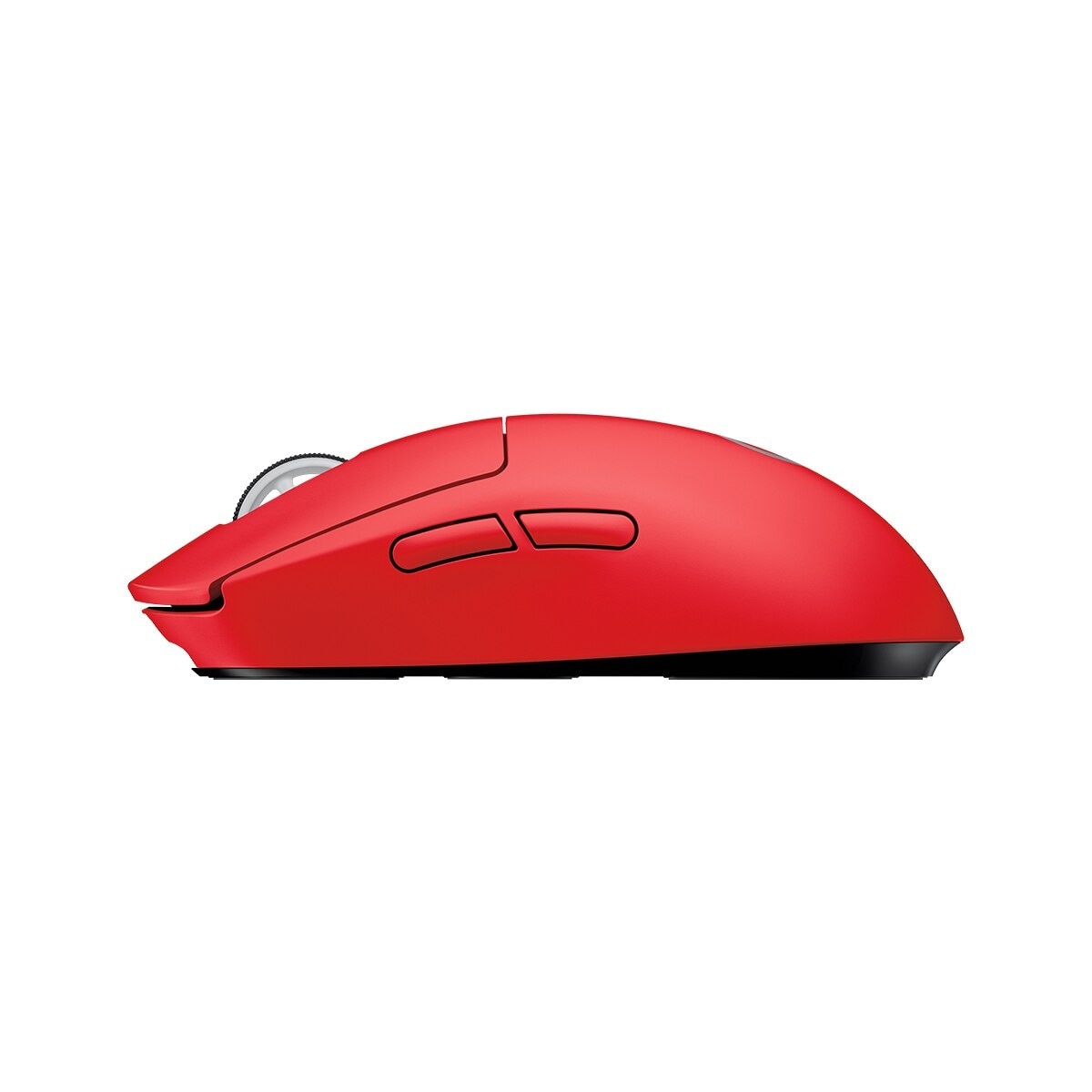FTRHK-12784068-BACK-zoom.jpg