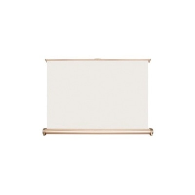 Texas Sonic 20" Mini Projector Screen