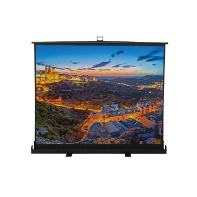 Texas Sonic 40" White Fiberglass Portable Projector Screen