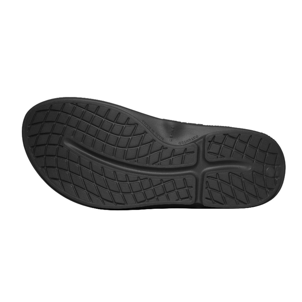 FTRHK-12786733-BACK-zoom.jpg