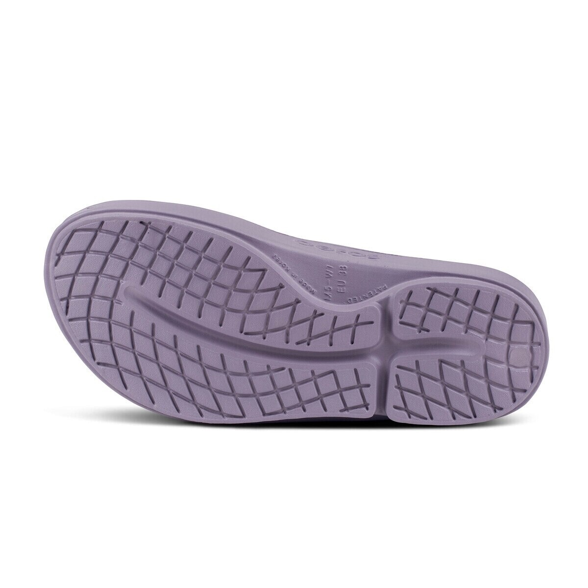 FTRHK-12786792-BACK-zoom.jpg
