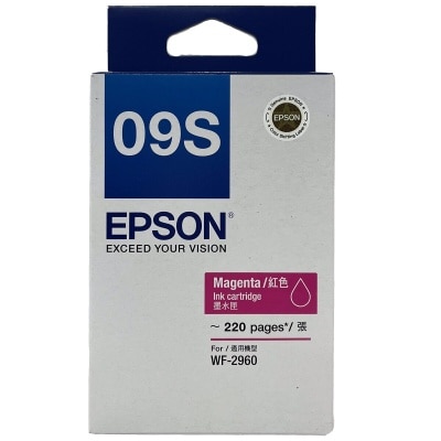 EPSON T09S
