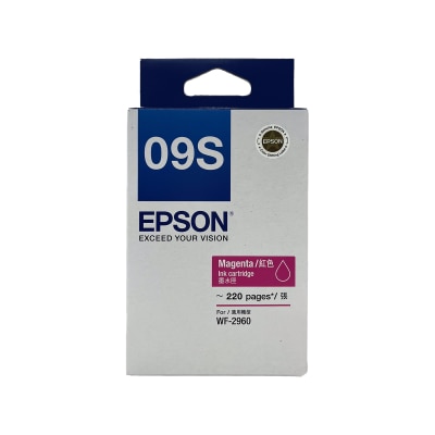EPSON 愛普生 T09S