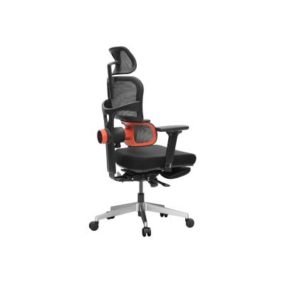 NEWTRAL Ergonomic Chair with Unique Adaptive Lower Back Support (Pro Version)