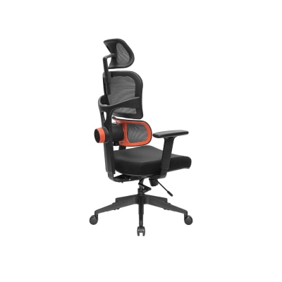NEWTRAL Ergonomic Chair with Unique Adaptive Lower Back Support (Standard)