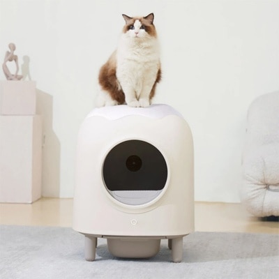 FTRHK-12828091-TOP-thumbnail.jpg