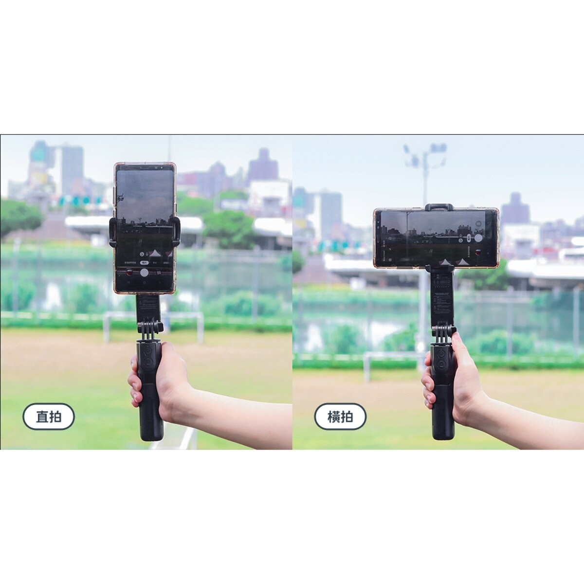 FTRHK-12934767-BACK-zoom.jpg