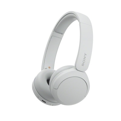SONY WH-CH520 Headphone