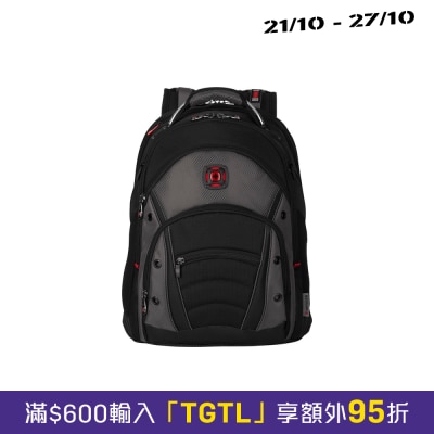 WENGER Synergy 背包 image
