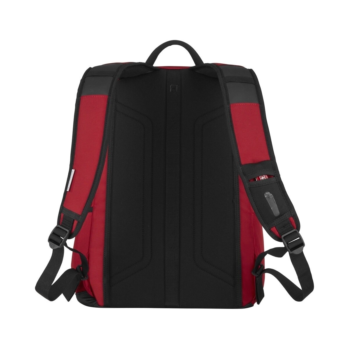 FTRHK-12991913-BACK-zoom.jpg