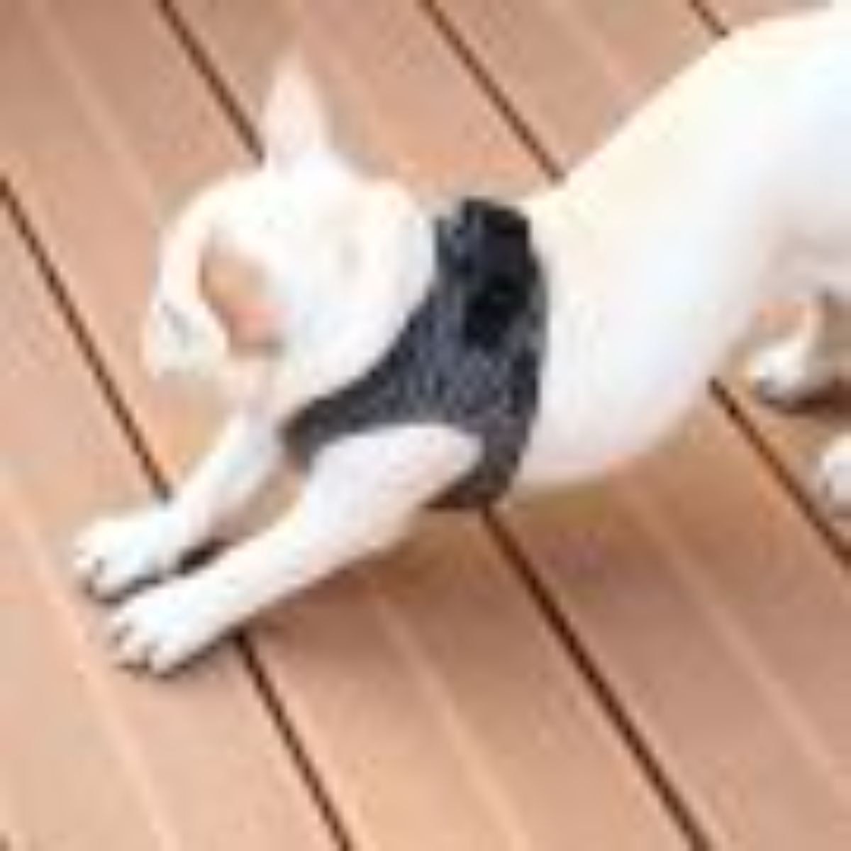 FTRHK-12995869-FEAT1-zoom.jpg