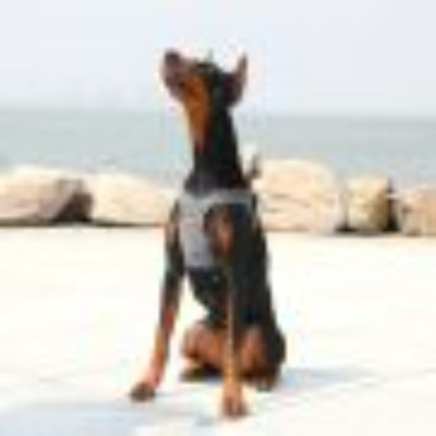 FTRHK-12995869-SIDE-thumbnail.jpg