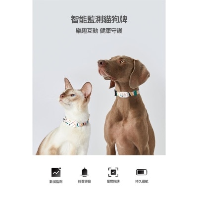 FTRHK-12996010-TOP-thumbnail.jpg