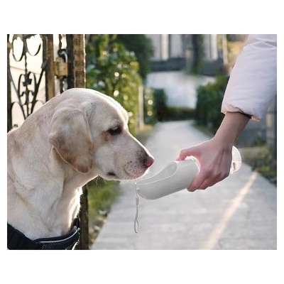 FTRHK-12996301-FEAT2-thumbnail.jpg