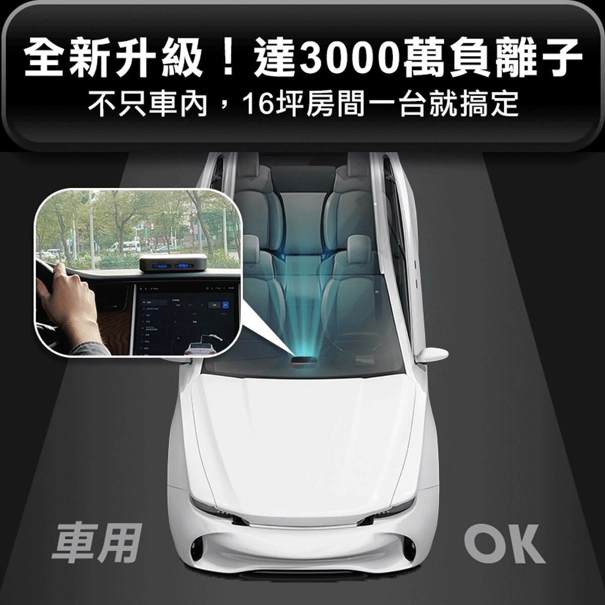 FTRHK-13016896-BACK-zoom.jpg