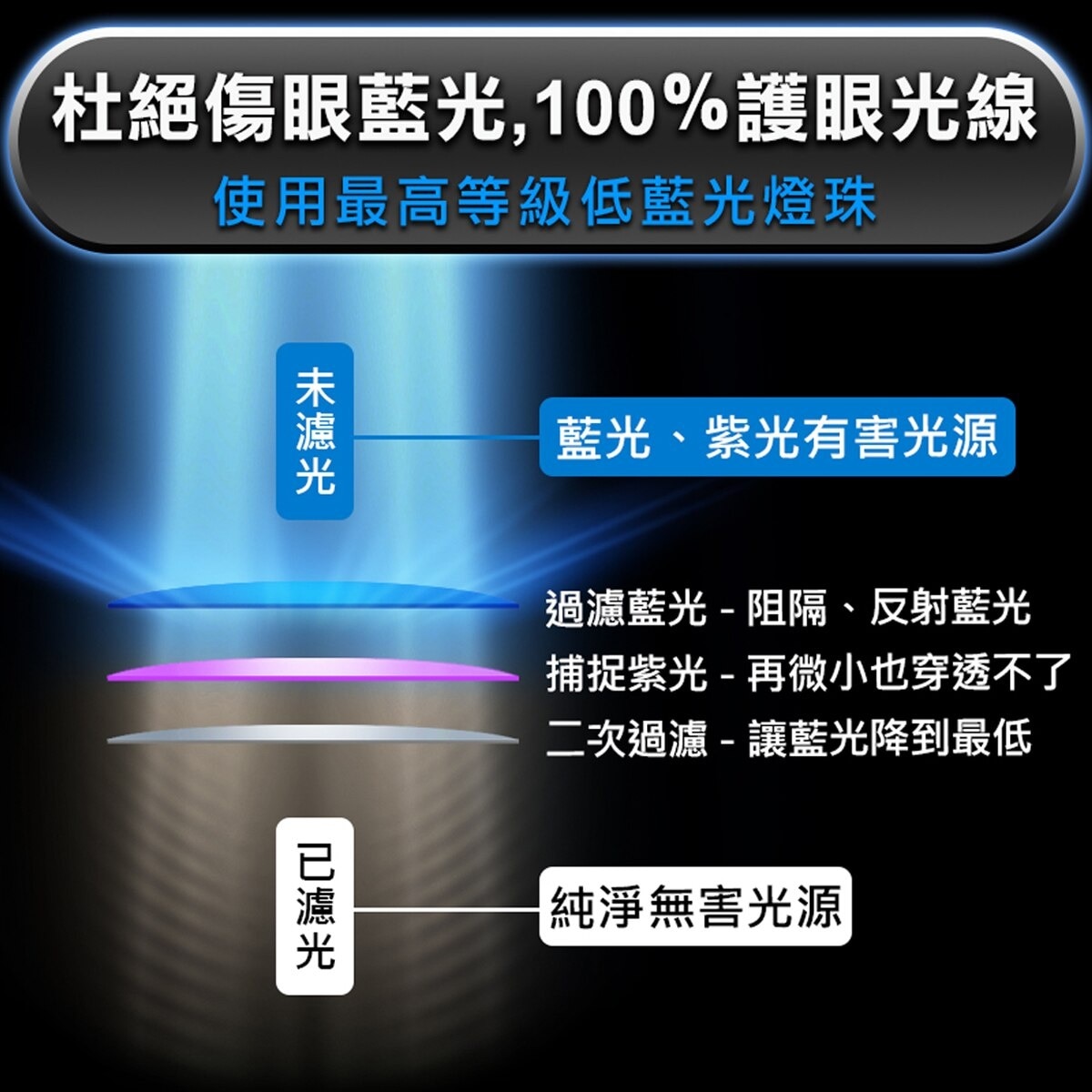 FTRHK-13017004-BACK-zoom.jpg
