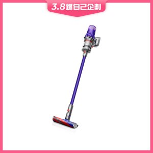 DYSON Digital Slim Origin vacuum | Fortress