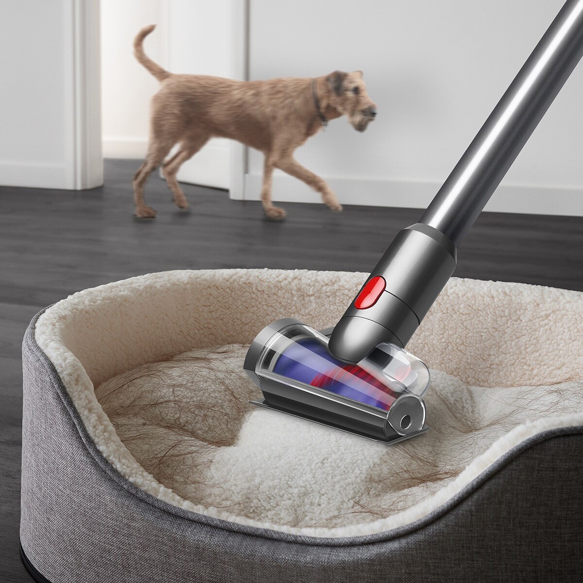 超美品 dyson V12 Detect Slim fluffy DYSON Dyson V12 Detect™ Slim Fluffy vacuum | Fortress