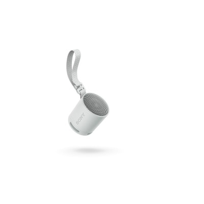 SONY SRS-XB100 Speaker