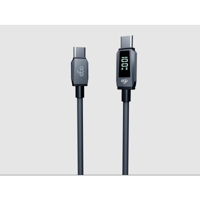 ego CCRT2 Wiry Max2 100W C to C 即时速度显示充电线 0.3米