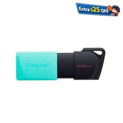 KINGSTON 金士頓 DataTraveler Exodia M 256GB USB手指