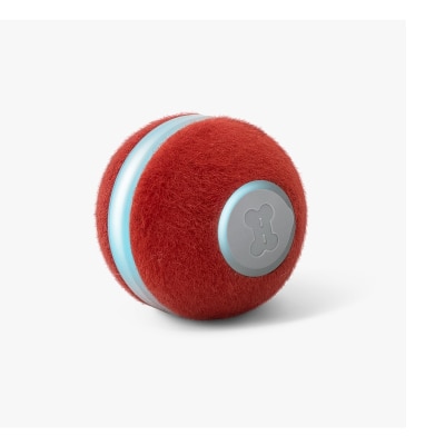 Cheerble - M1 Interactive electric ball (for cat)