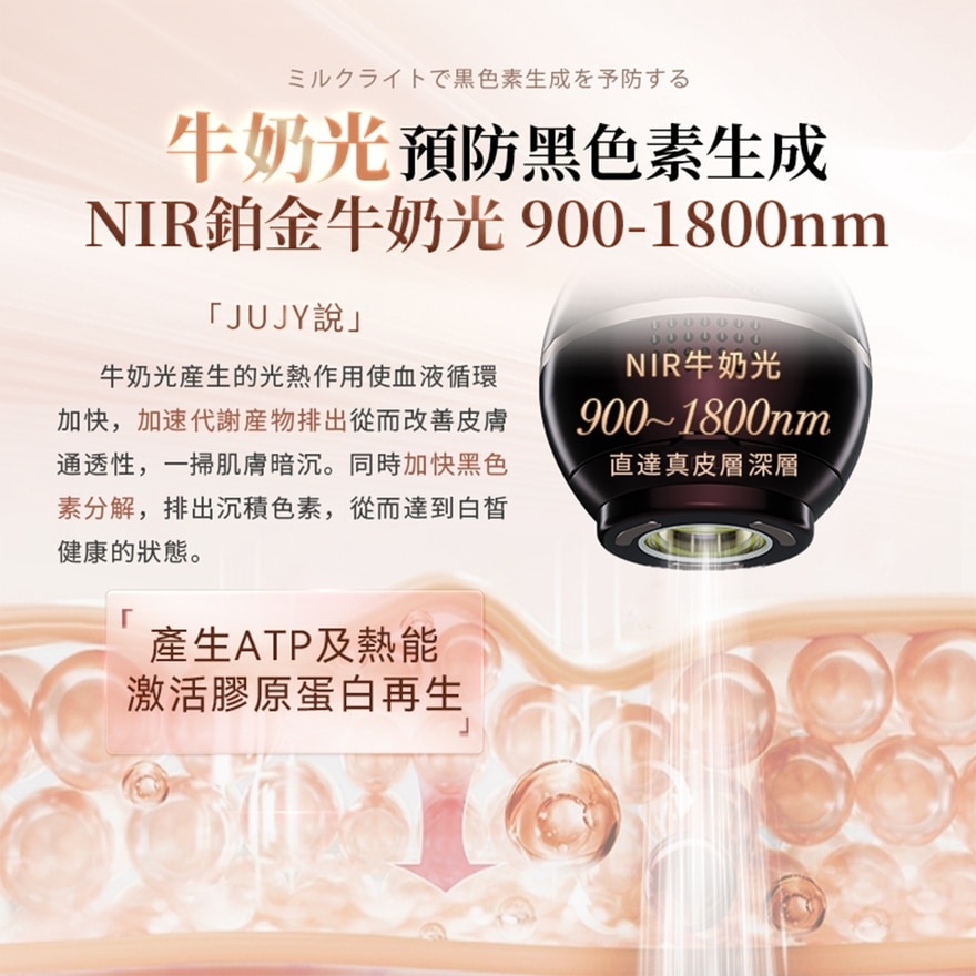 FTRHK-13192478-back-zoom.jpg