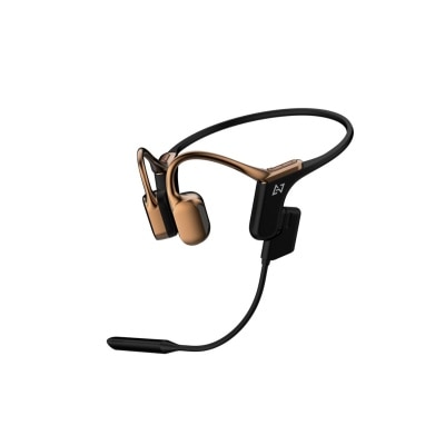 AVIOT WB-E1M Headphone