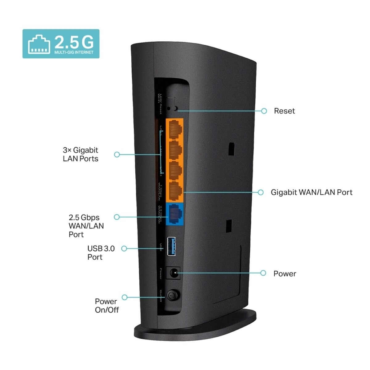 FTRHK-13201936-BACK-zoom.jpg