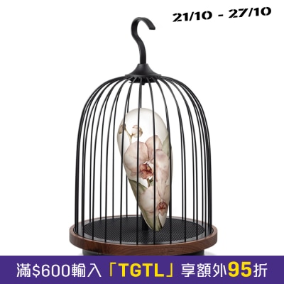DaqiConcept JG01 Wireless Audio Light image