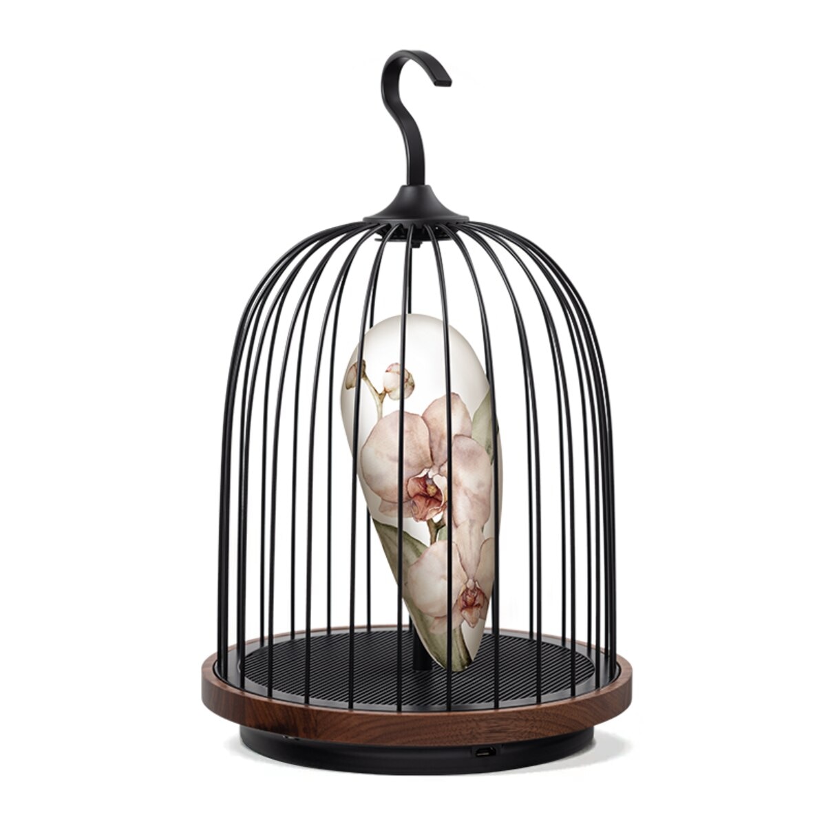 FTRHK-13250025-FRONT-eUAHbpYm-zoom