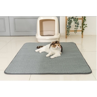 Dfang 隔砂尼龍地毯