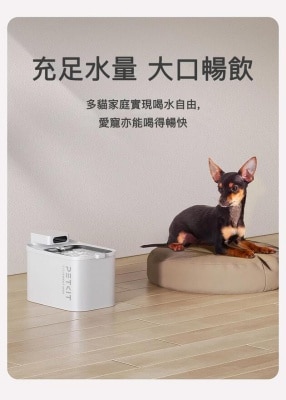 FTRHK-13286191-TOP-thumbnail.jpg