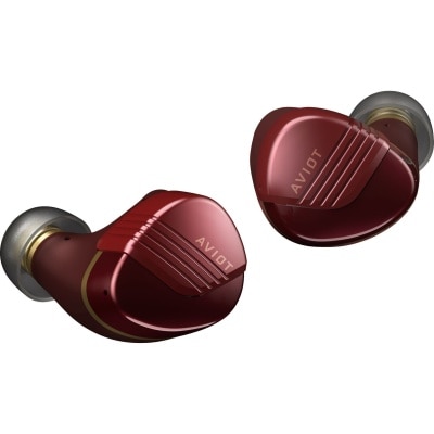 AVIOT TE-W1 Headphone