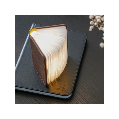 Gingko Design 智能书灯（纤维皮革）