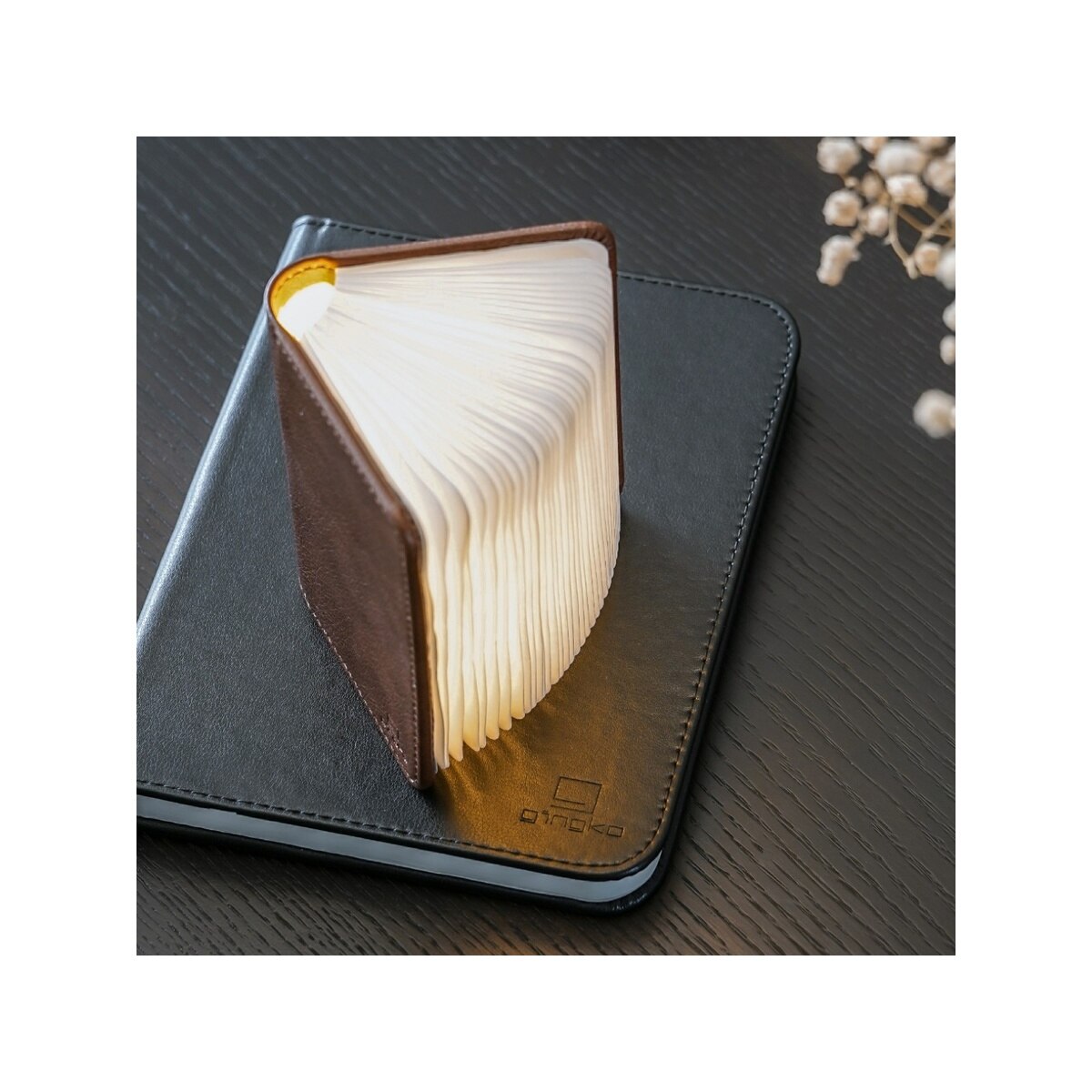 FTRHK-13308080-FRONT-zoom