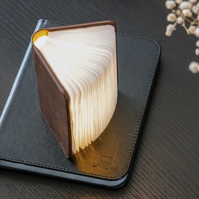 Gingko Design 智能書燈（纖維皮革）