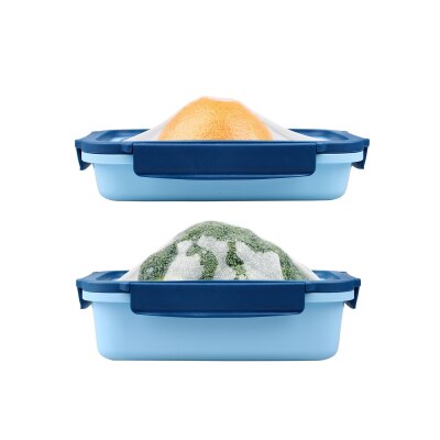 DeliOne Flex'n Fresh 饭盒 - 2个装