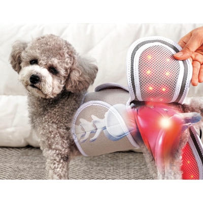 Cirius Pet 宠物红外线光疗垫-基础款