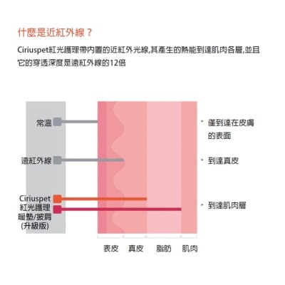 FTRHK-13312708-back-thumbnail.jpg