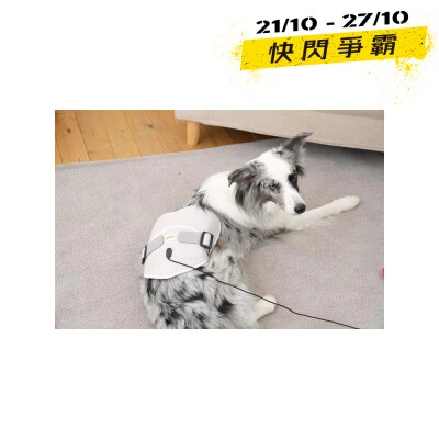 Cirius Pet Warm Pad Near Infrared (NIR) Joint Therapy Belt image