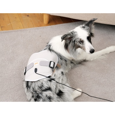 Cirius Pet 宠物红外线光 疗垫-爱心款