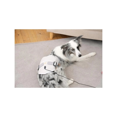 Cirius Pet - 宠物红外线光 疗垫-爱心款