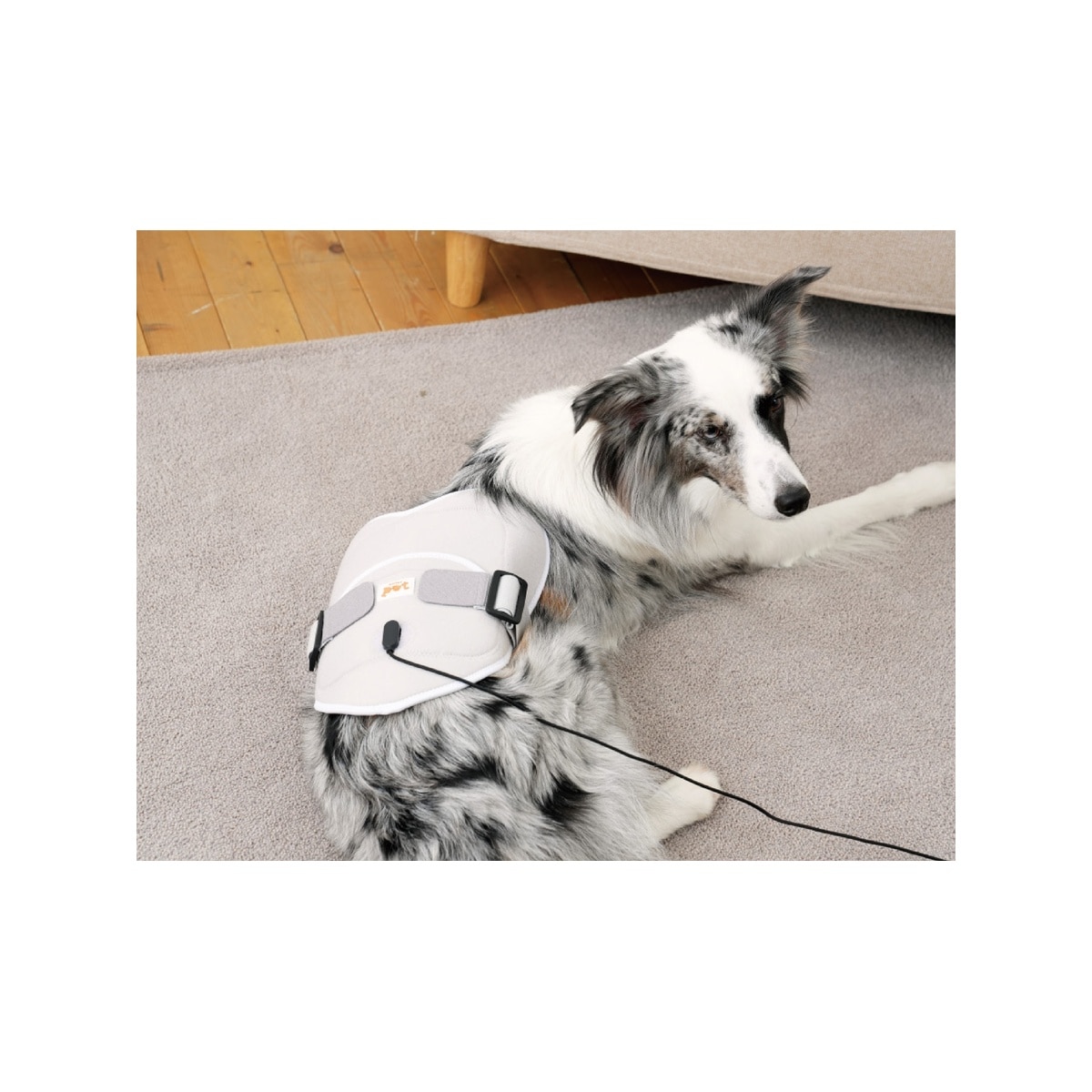 FTRHK-13312724-FRONT-zoom