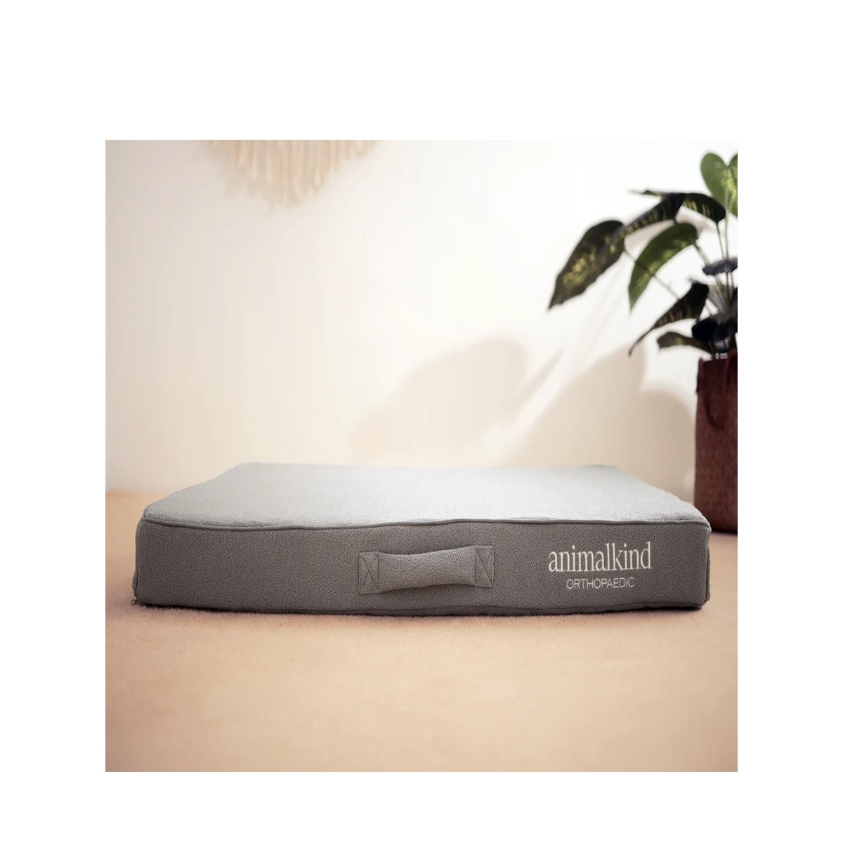 FTRHK-13318077-FRONT-zoom