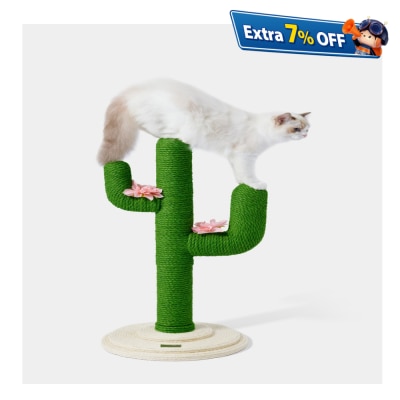 Vetreska 未卡仙人掌猫爬架