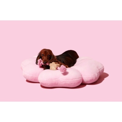 FTRHK-13322615-BACK-thumbnail.jpg