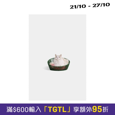 Vetreska 未卡西瓜樂樂藤窩 image